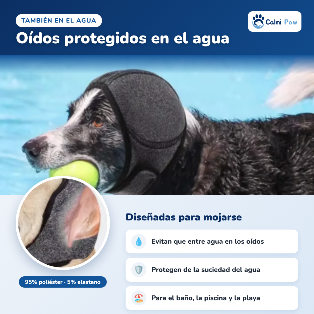 Orejeras para perro que evitan que entre agua en los oídos