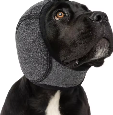 Orejeras antiruido para perros puestas en un labrador